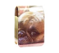 Tired French Bulldog Lindo soporte de brillo de labios portátil mini caja de almacenamiento de lápiz labial organizador de viaje con espejo para mujer, Varios colores, 9.5x2x7 cm/3.7x0.8x2.7 in