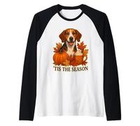 Tis The Season American Foxhound Dog, Taza de Calabaza para otoño y otoño Camiseta Manga Raglan