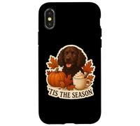 Tis The Season American Water Spaniel Perro Otoño Otoño Café Carcasa para iPhone X/XS