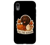 Tis The Season American Water Spaniel Perro Otoño Otoño Café Carcasa para iPhone XR