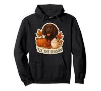 Tis The Season American Water Spaniel Perro Otoño Otoño Café Sudadera con Capucha