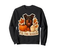Tis The Season Beauceron Dog Otoño-Otoño Pumpkin Spice Cute Sudadera