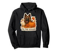 Tis The Season Belga Tervuren Dog Fall Autumn Pumpkin Cute Sudadera con Capucha