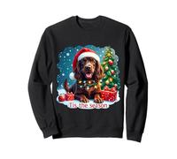 Tis The Season Boykin Spaniel Dog Feliz Navidad Sudadera