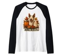 Tis The Season Bull Terrier Otoño Otoño Calabaza Especias Camiseta Manga Raglan