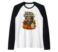Tis The Season - Calabaza de Perro Lobo irlandés para otoño Camiseta Manga Raglan