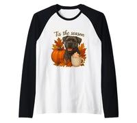 Tis The Season Cane Corso para Perro, otoño, otoño, Calabaza y Especias Camiseta Manga Raglan