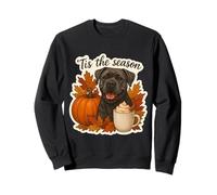Tis The Season Cane Corso para Perro, otoño, otoño, Calabaza y Especias Sudadera