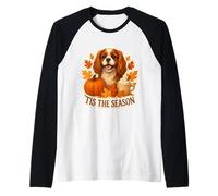 Tis The Season Cavalier King Charles Dog Otoño-Otoño Calabaza Camiseta Manga Raglan