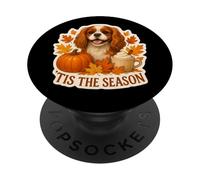 Tis The Season Cavalier King Charles Dog Otoño-Otoño Calabaza PopSockets PopGrip Adhesivo