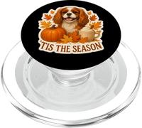 Tis The Season Cavalier King Charles Dog Otoño-Otoño Calabaza PopSockets PopGrip para MagSafe