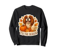 Tis The Season Cavalier King Charles Dog Otoño-Otoño Calabaza Sudadera