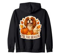 Tis The Season Cavalier King Charles Dog Otoño-Otoño Calabaza Sudadera con Capucha