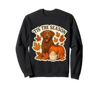 Tis The Season Chesapeake Bay Retriever Perro Otoño Lindo Sudadera
