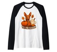 Tis The Season Cirnecho dell'Etna Dog Fall Autumn Pumpkin Camiseta Manga Raglan