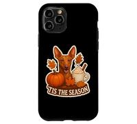 Tis The Season Cirnecho dell'Etna Dog Fall Autumn Pumpkin Carcasa para iPhone 11 Pro
