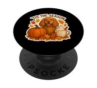 Tis The Season Cocker Spaniel Dog Otoño-Otoño Pumpkin Spice PopSockets PopGrip Adhesivo