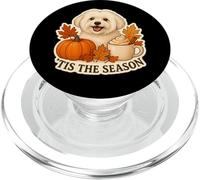 Tis The Season Coton de Tulear Dog Otoño Calabaza Spice PopSockets PopGrip para MagSafe