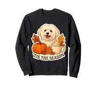 Tis The Season Coton de Tulear Dog Otoño Calabaza Spice Sudadera