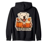 Tis The Season Dogo Perro Argentino Otoño Otoño Calabaza Latte Sudadera con Capucha