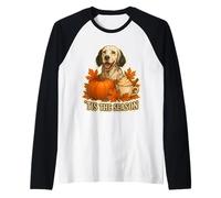 Tis The Season - Especia de Calabaza de otoño para Perro Setter inglés Camiseta Manga Raglan