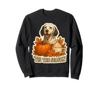 Tis The Season - Especia de Calabaza de otoño para Perro Setter inglés Sudadera