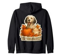 Tis The Season - Especia de Calabaza de otoño para Perro Setter inglés Sudadera con Capucha