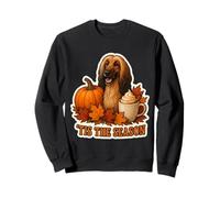 Tis The Season - Especia de Calabaza de otoño para Perros afganos Sudadera