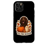 Tis The Season Field Spaniel Dog Otoño-Otoño Pumpkin Spice Carcasa para iPhone 11 Pro