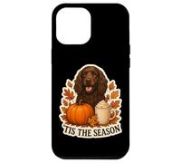 Tis The Season Field Spaniel Dog Otoño-Otoño Pumpkin Spice Carcasa para iPhone 12 Pro MAX