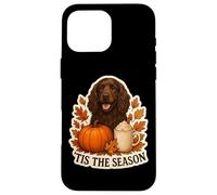 Tis The Season Field Spaniel Dog Otoño-Otoño Pumpkin Spice Carcasa para iPhone 16 Pro MAX