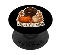 Tis The Season Field Spaniel Dog Otoño-Otoño Pumpkin Spice PopSockets PopGrip Adhesivo
