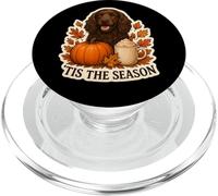 Tis The Season Field Spaniel Dog Otoño-Otoño Pumpkin Spice PopSockets PopGrip para MagSafe