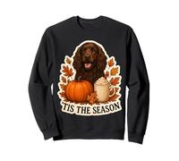 Tis The Season Field Spaniel Dog Otoño-Otoño Pumpkin Spice Sudadera