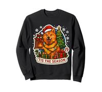 Tis The Season Finlandés Spitz Perro Feliz Navidad Mamá Papá Diversión Sudadera