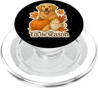 Tis The Season Golden Retriever para otoño y otoño, Bonita Calabaza PopSockets PopGrip para MagSafe