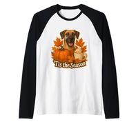 Tis The Season Gran Perro danés otoño otoño Calabaza Especias Lindo Camiseta Manga Raglan