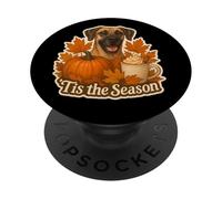 Tis The Season Gran Perro danés otoño otoño Calabaza Especias Lindo PopSockets PopGrip Adhesivo