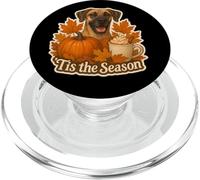 Tis The Season Gran Perro danés otoño otoño Calabaza Especias Lindo PopSockets PopGrip para MagSafe