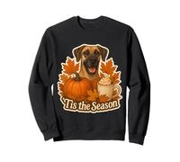 Tis The Season Gran Perro danés otoño otoño Calabaza Especias Lindo Sudadera