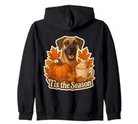 Tis The Season Gran Perro danés otoño otoño Calabaza Especias Lindo Sudadera con Capucha