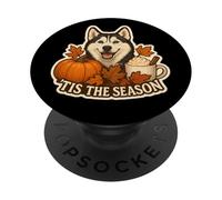 Tis The Season Husky Siberian Dog Fall Autumn Pumpkin Spice PopSockets PopGrip Adhesivo