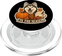 Tis The Season Husky Siberian Dog Fall Autumn Pumpkin Spice PopSockets PopGrip para MagSafe