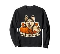 Tis The Season Husky Siberian Dog Fall Autumn Pumpkin Spice Sudadera