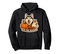 Tis The Season Husky Siberian Dog Fall Autumn Pumpkin Spice Sudadera con Capucha