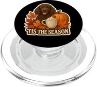 Tis The Season Irish Water Spaniel Dog Otoño-Otoño Calabaza PopSockets PopGrip para MagSafe