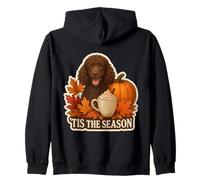 Tis The Season Irish Water Spaniel Dog Otoño-Otoño Calabaza Sudadera con Capucha
