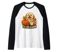 Tis The Season Lhasa Apso Dog Otoño-Otoño Calabaza Spice Lindo Camiseta Manga Raglan