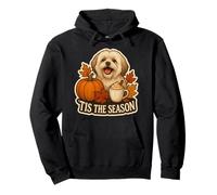 Tis The Season Lhasa Apso Dog Otoño-Otoño Calabaza Spice Lindo Sudadera con Capucha
