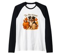 Tis The Season Miniatura Pastor Americano Otoño Otoño Camiseta Manga Raglan